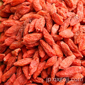 赤いgojiの果実wolfberriesの果物を乾燥広告